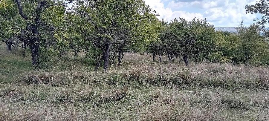Teren de 12500 mp, în Suslănești