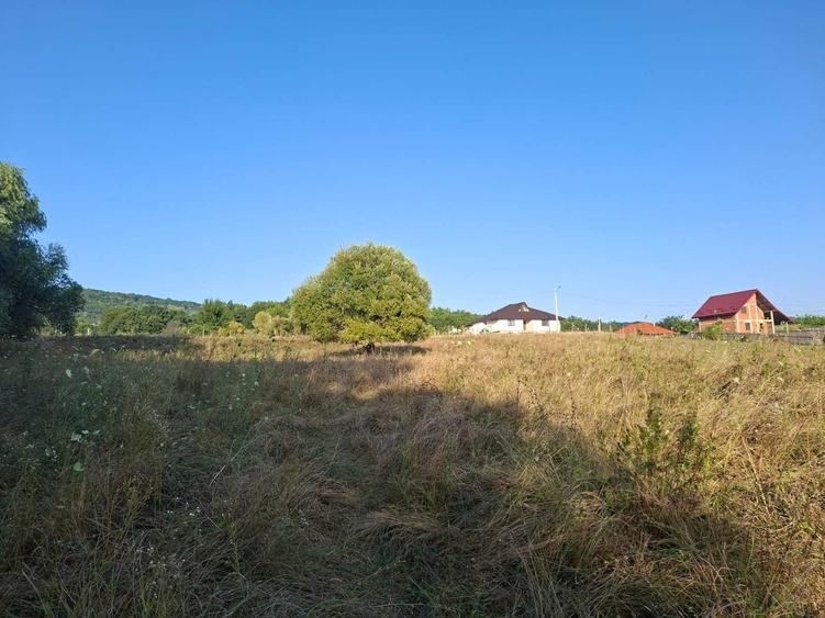 Teren de 1000 mp, în Bârnova