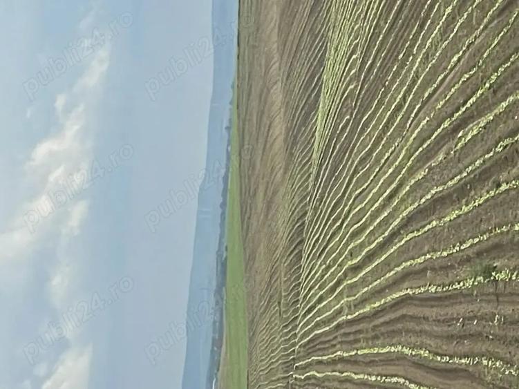 Teren de 500000 mp, în Babadag