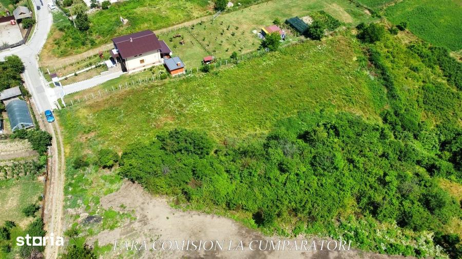Teren de 7500 mp, în Râureni