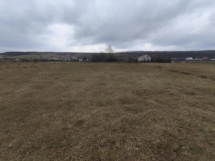 Teren de 1100 mp, în Mogoșești