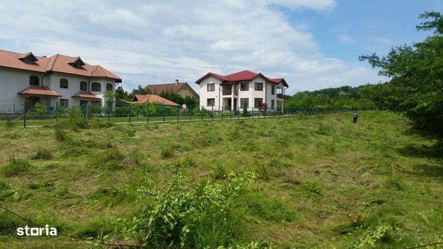 Teren de 3665 mp, în Păulești