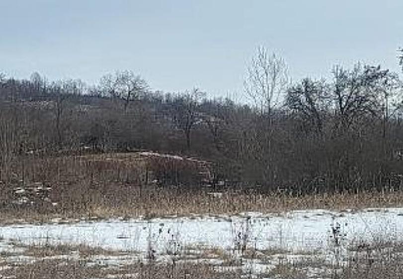 Teren agricol extravilan de 1756 mp, în Dobrovăț