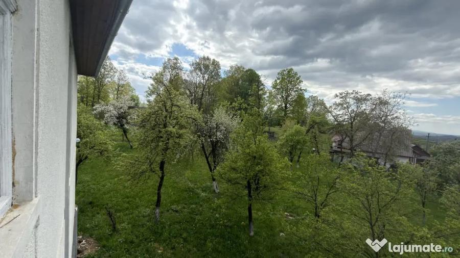 Casă cu 3 camere cu Teren 2200 Mp în Central