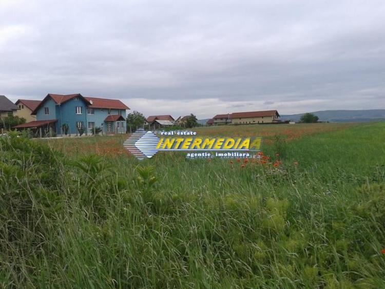 Teren Construcții intravilan de 8600 mp, în Cetate
