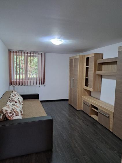 Apartament cu 2 camere decomandat în Dosu Bricii