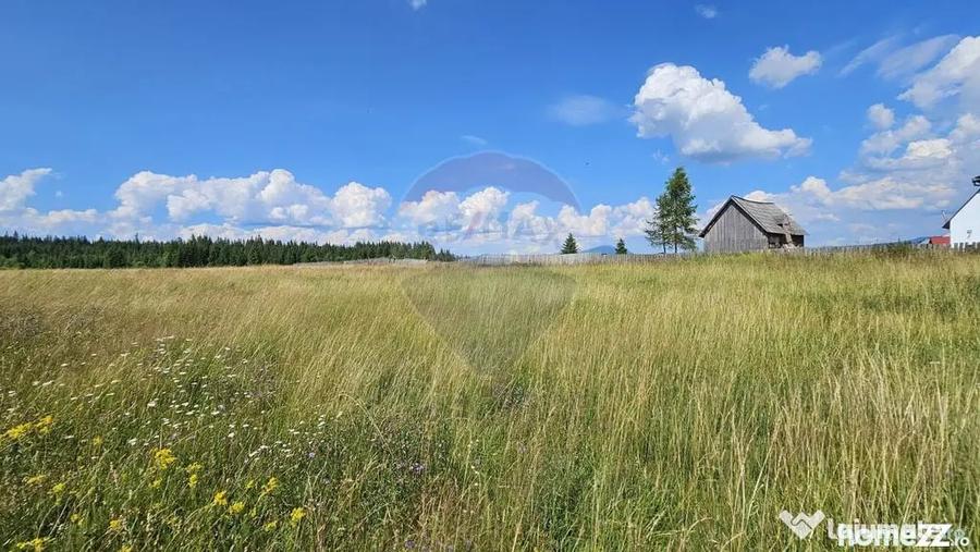 Teren de 30930 mp, în Poiana Stampei