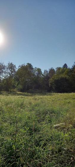 Teren de 1530 mp, în Central