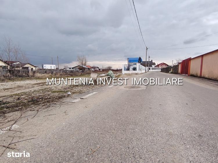 Teren de 7000 mp, în Bradu