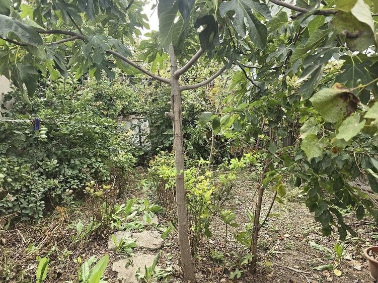 Casă cu 4 camere cu Teren 301 Mp în Faleza Nord