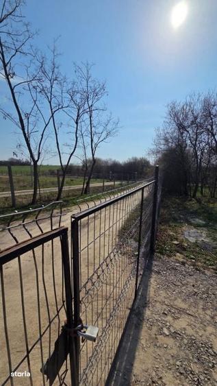 Casă cu 3 camere în Viile Satu Mare