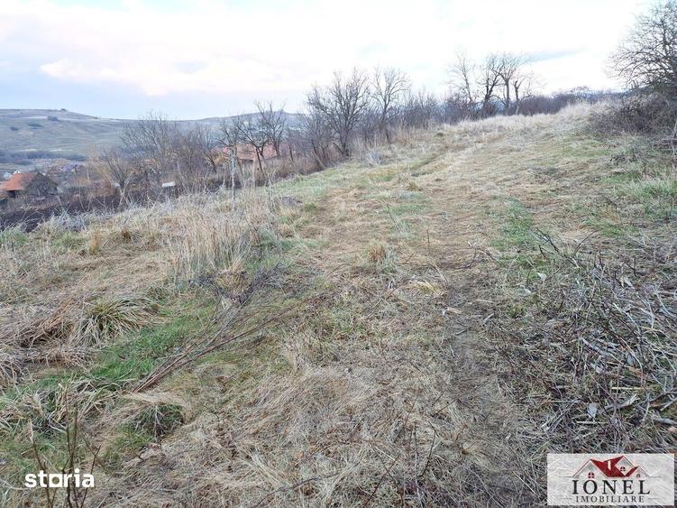 Teren de 1125 mp, în Berghin