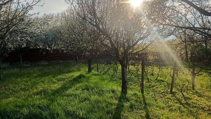 Casă individuală cu 3 camere cu Teren 2000 Mp în Bârnova