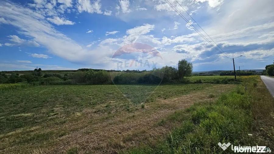 Teren de 12000 mp, în Pădureni (Șendriceni)