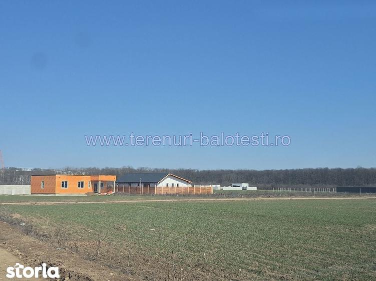 Teren de 620 mp, în Balotești