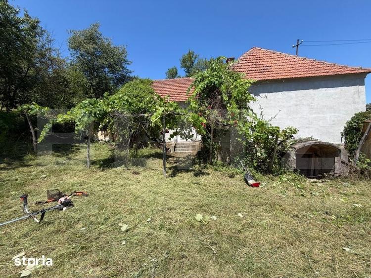 Casă cu 3 camere cu Teren 2674 Mp în Cigmău