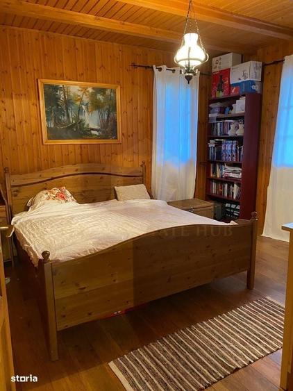 Vanzare teren 3000 mp, cabana, zona D D Rosca, Faget - 11