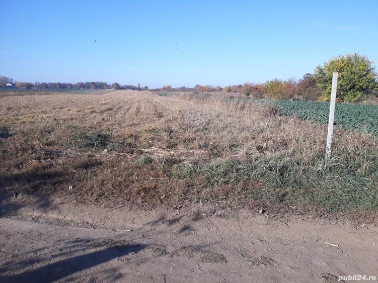 Teren de 150000 mp, în Nord