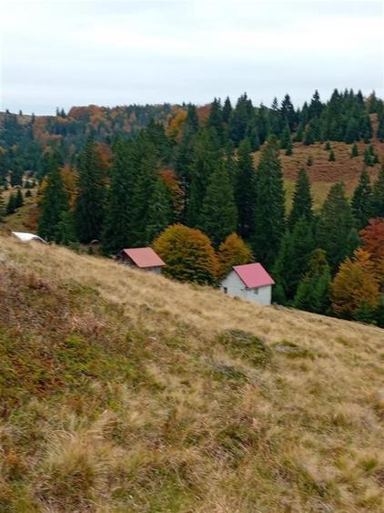 RECO Teren extravilan la Cresuia, Stana de Vale - 1