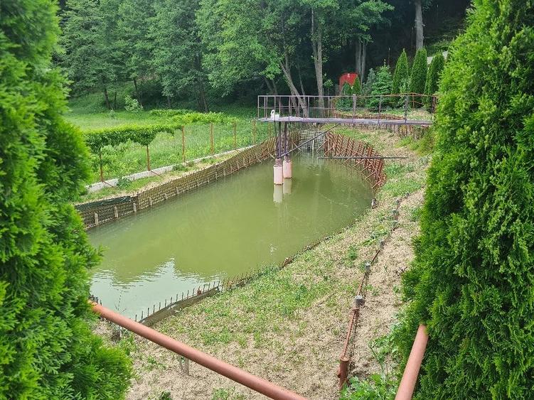 Casă cu 6 camere cu Teren 3414 Mp în Pralea