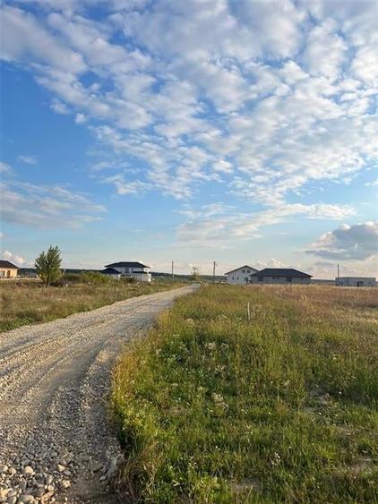 Teren Construcții intravilan de 500 mp, în Cihei