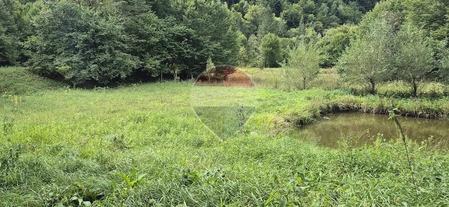 Teren de 2800 mp, în Schitu Tarcău
