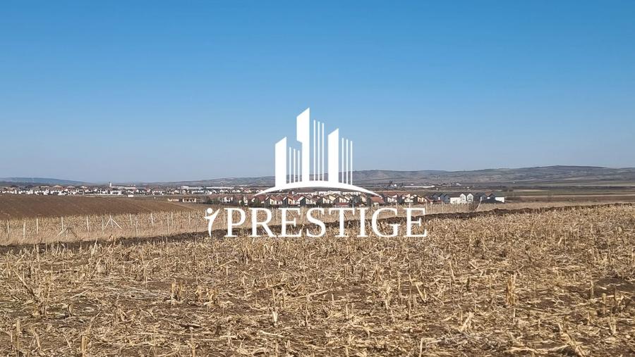 TEREN INTRAVILAN PENTRU CONSTRUCȚIE CASĂ | ȘURA MICĂ | PUZ APROBAT - 5