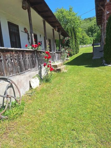 Casă cu 4 camere cu Teren 10000 Mp în Izvoarele