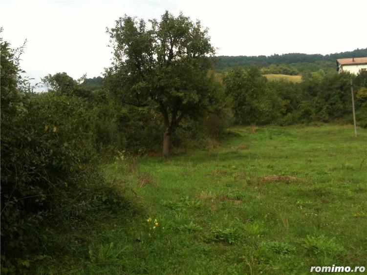Vand teren intravilan 1,4 ha, Mehadia, Caras-Severin - 2