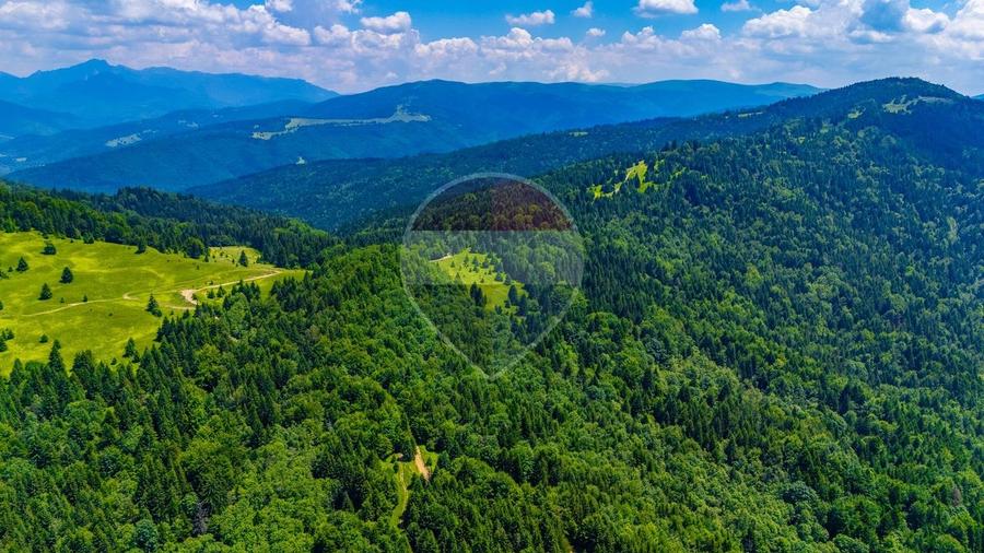Teren agricol extravilan de 7000 mp, în Gârcini