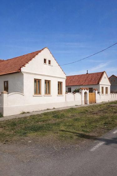 Casa de Vanzare PARU, TIMI? - 6