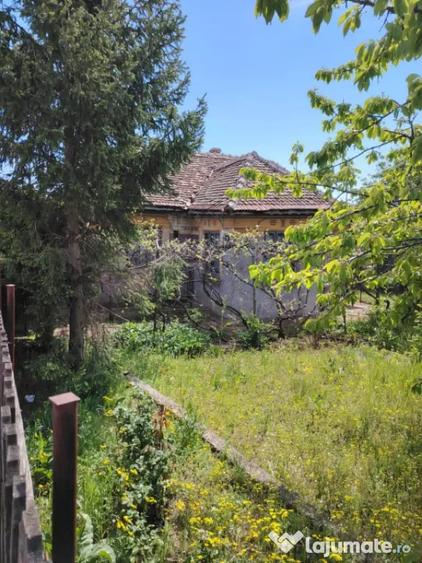 Casă cu 3 camere cu Teren 2800 Mp în Caraula
