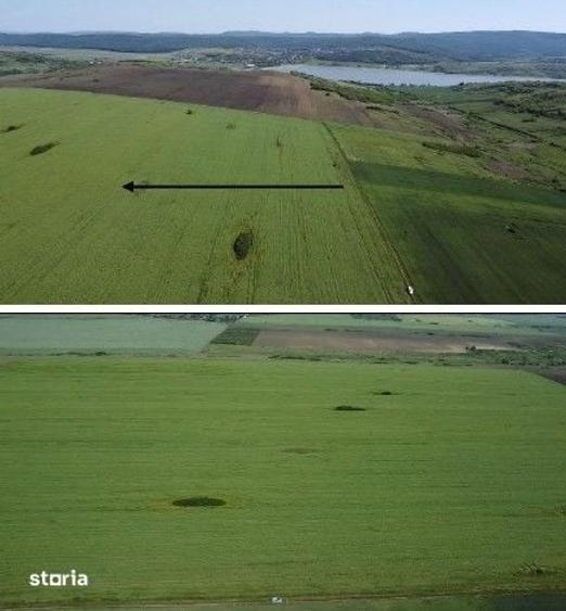 Teren de 4300 mp, în Bălteni