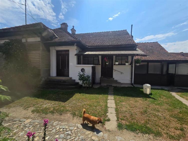 Gospodarie de vanzare in Voila - 10