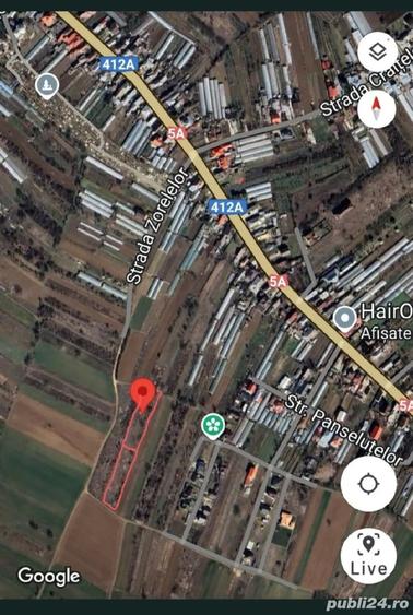 Teren de 1500 mp, în Adunații-Copăceni