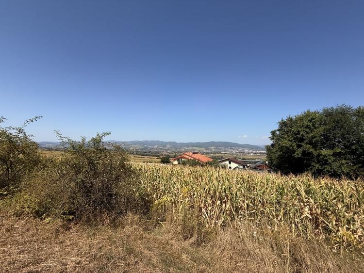 Teren agricol extravilan de 460 mp, în Dumbrava (Ciugud)