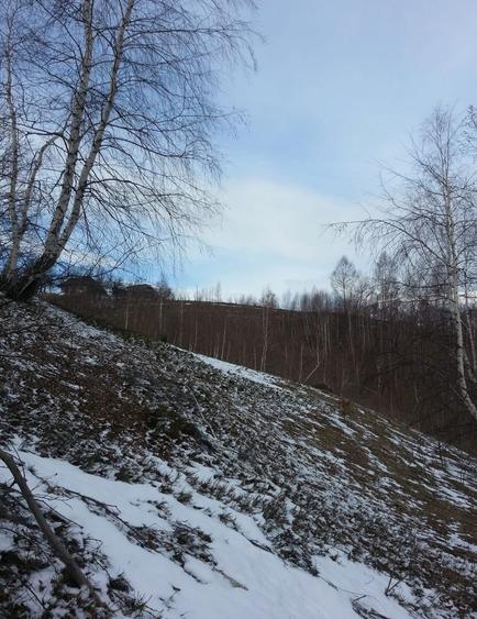 Teren extravilan de 3750 mp, în Moieciu de Jos