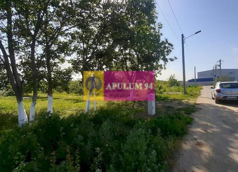 Teren Construcții intravilan de 5000 mp, în Copăceni