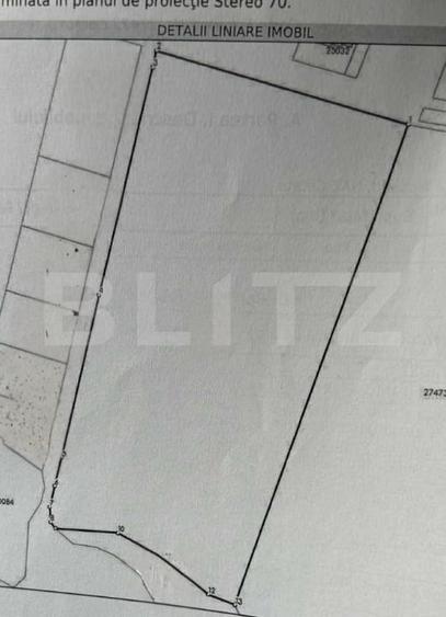 Teren agricol extravilan de 25800 mp, în Viișoara