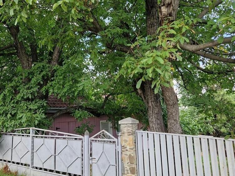Casă individuală cu 3 camere cu Teren 1400 Mp în Burdujeni