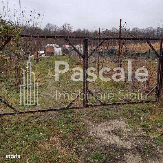 TEREN DE VANZARE TALMACIU, ZONA INTRE IAZURI - 2
