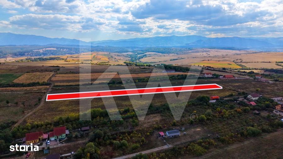 Teren de 5000 mp, în Câineni