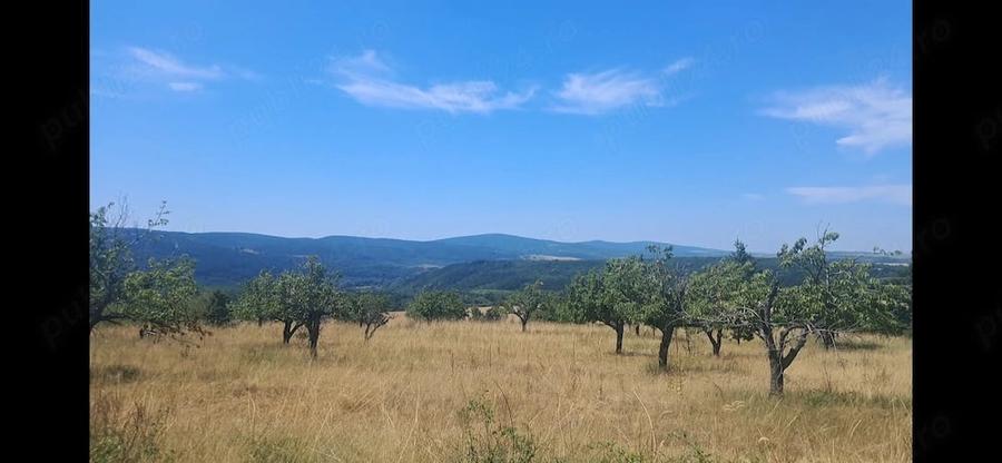 Casă cu 4 camere cu Teren 1200 Mp în Ciuchici