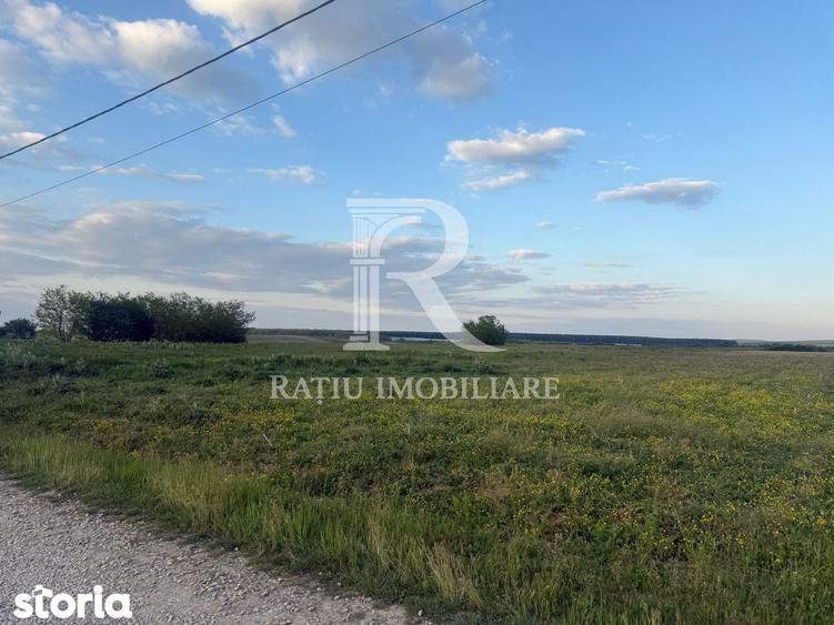 Teren de 2000 mp, în Tămășeu
