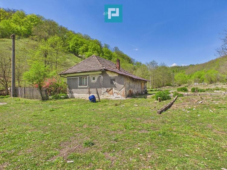 Teren Construcții intravilan de 13199 mp, în Luncoiu de Jos