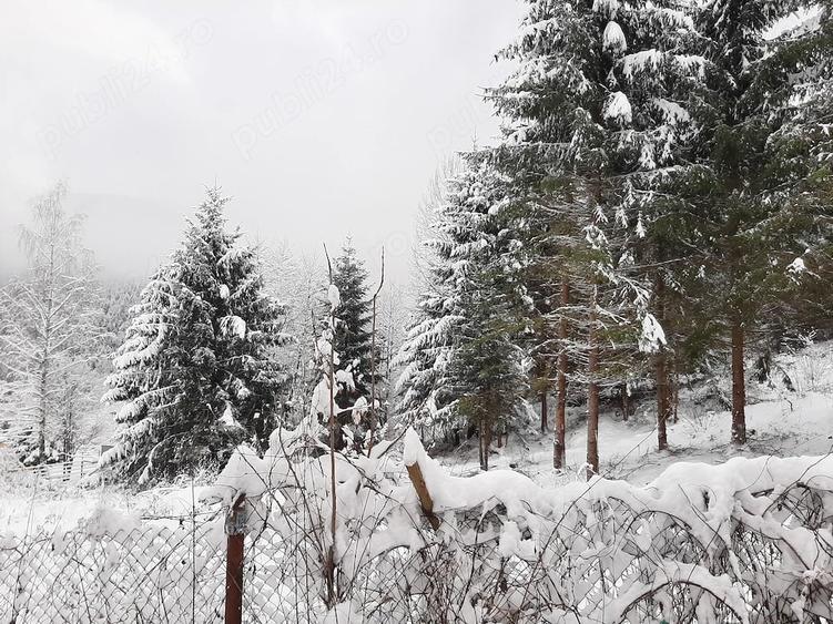 Teren de 1000 mp, în Dejani