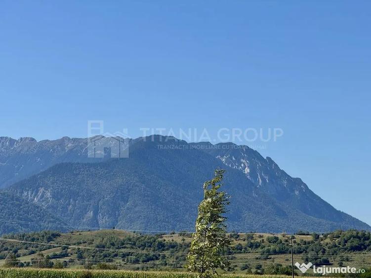 Teren de 1200 mp, în Sohodol