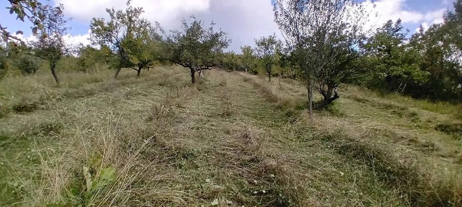 Teren de 12000 mp, în Suslănești