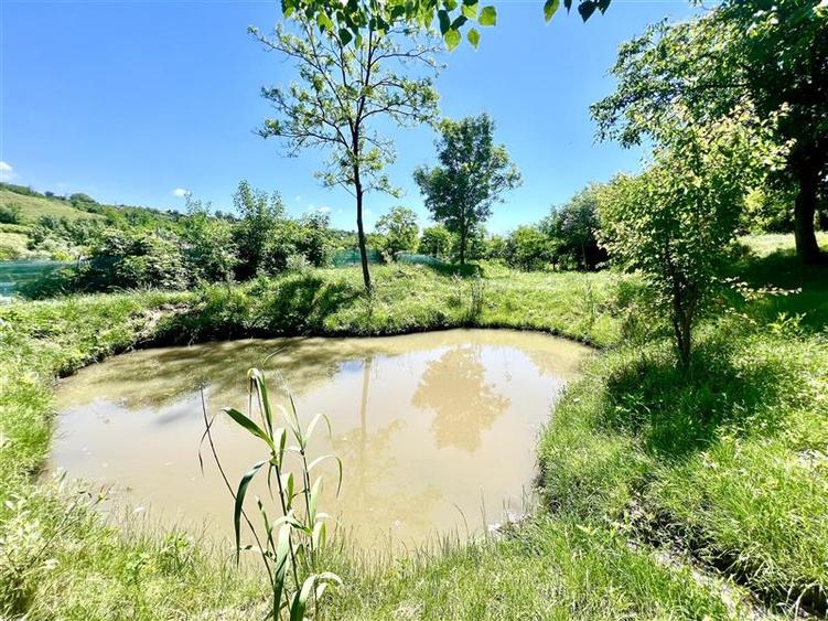 Casă individuală cu 2 camere cu Teren 1000 Mp în Probota