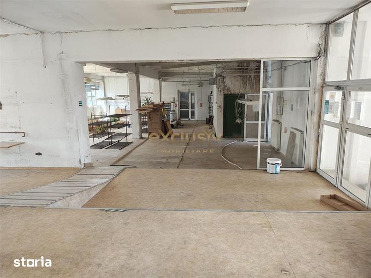 Hala mica productie, showroom Bartolomeu - 19